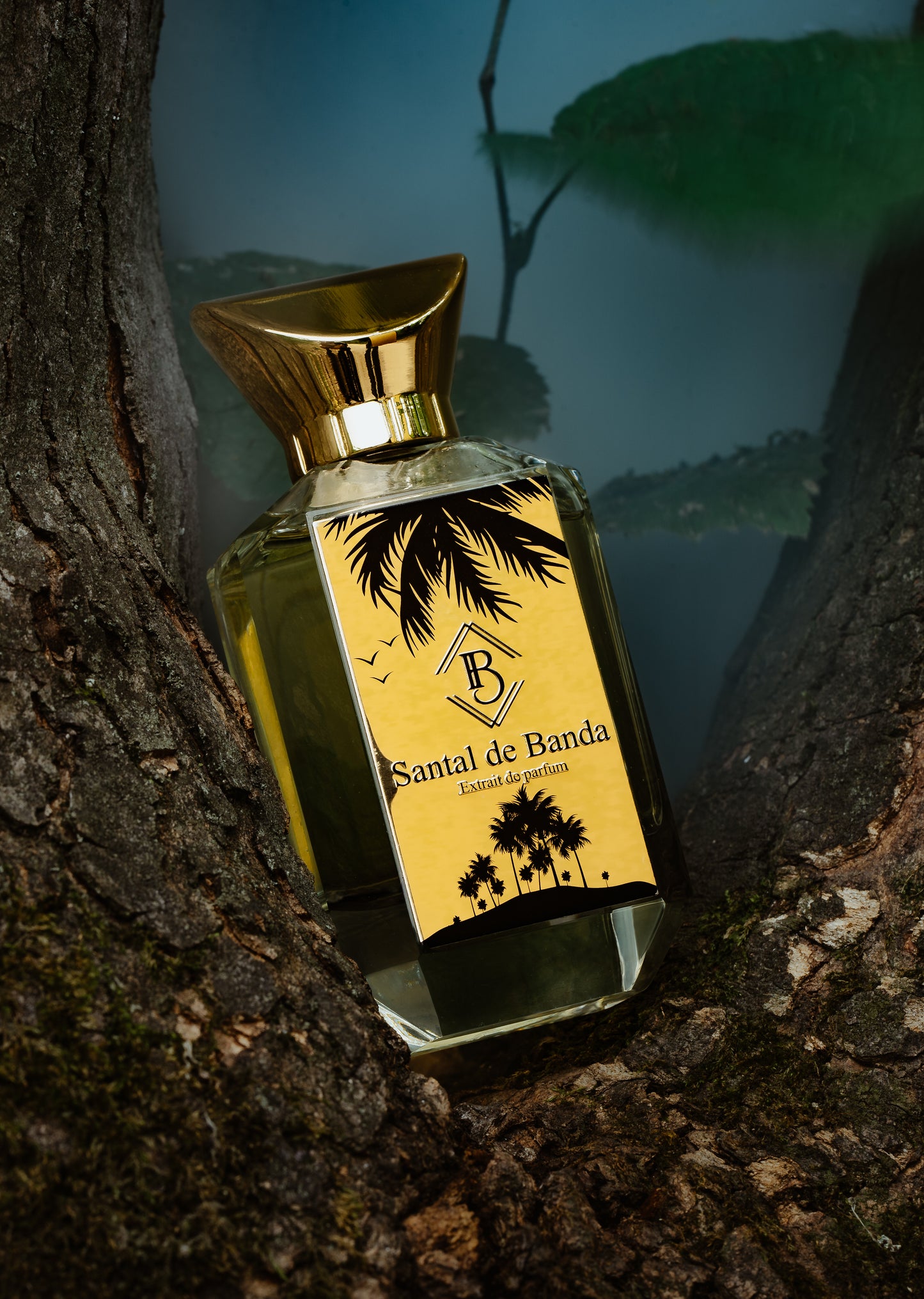 Santal de Banda - Maison Fragrancia