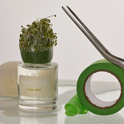 I fig you - Maison Fragrancia