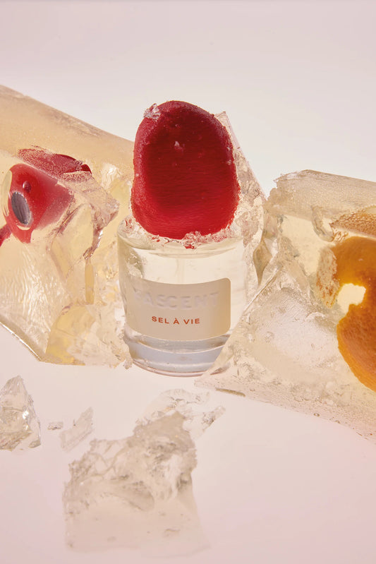 Sel à vie - Maison Fragrancia