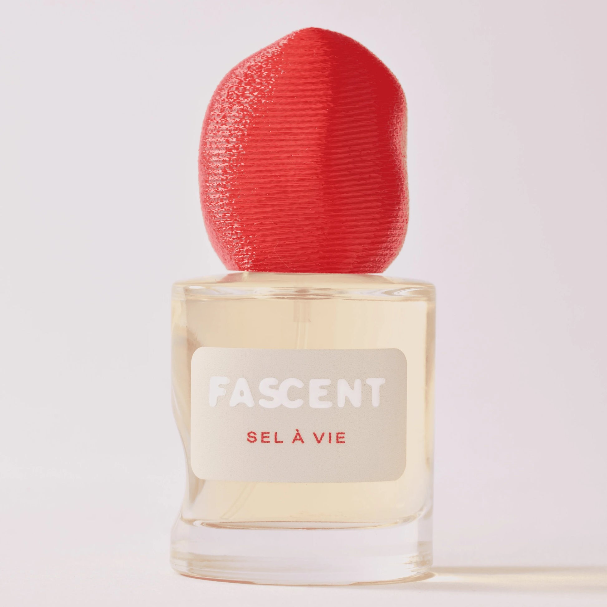 Sel à vie - Maison Fragrancia