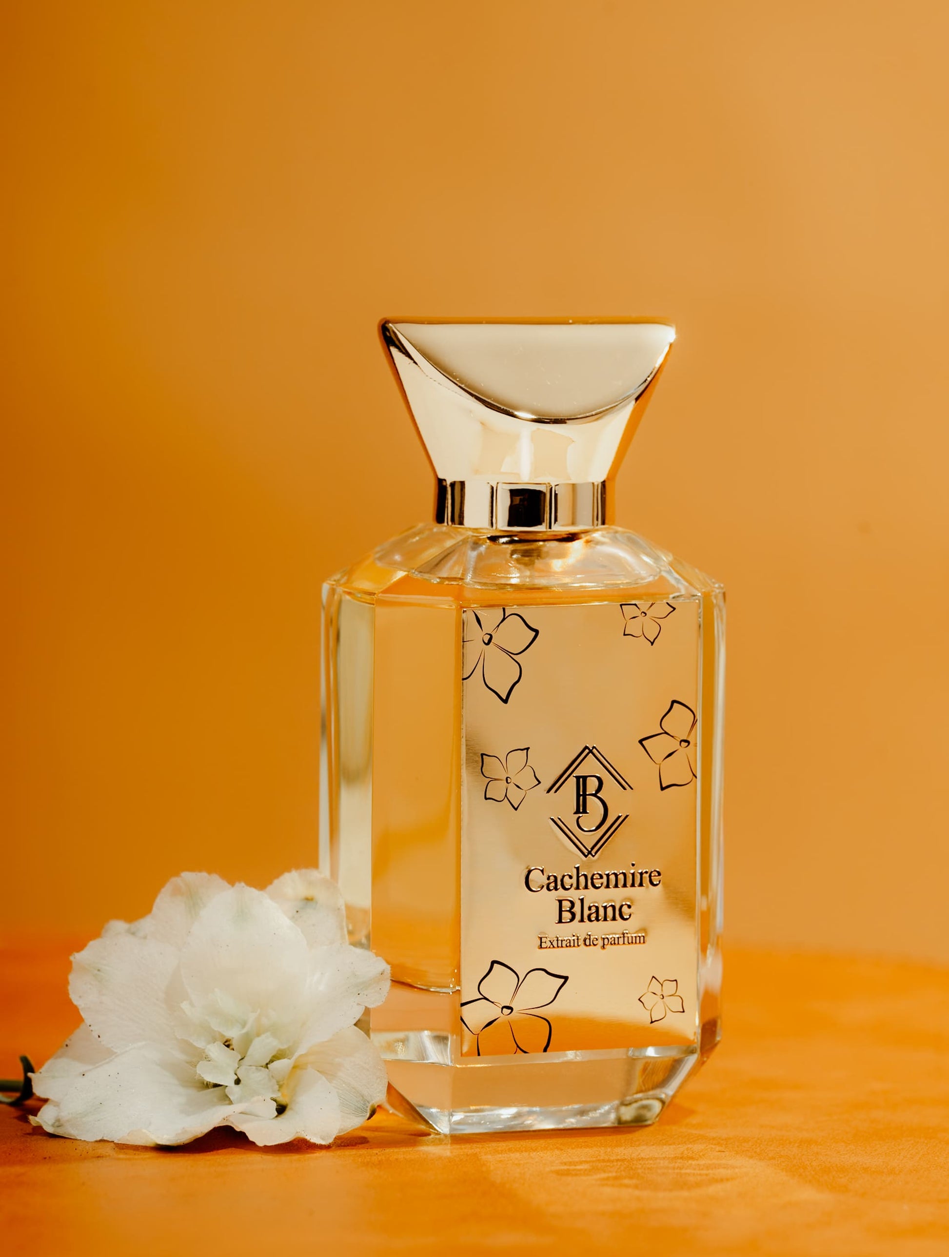 Cachemire Blanc - Maison Fragrancia