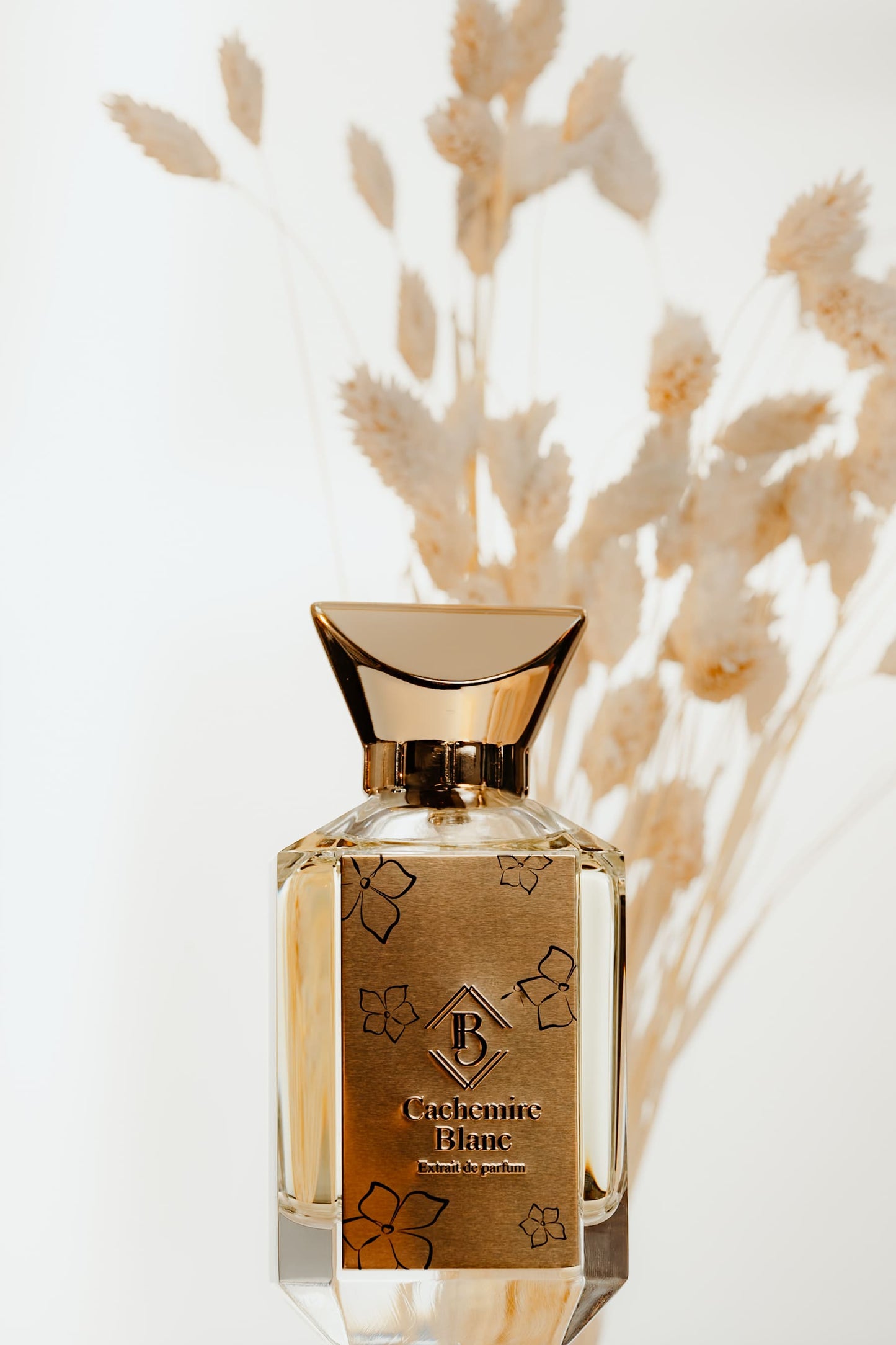 Cachemire Blanc - Maison Fragrancia