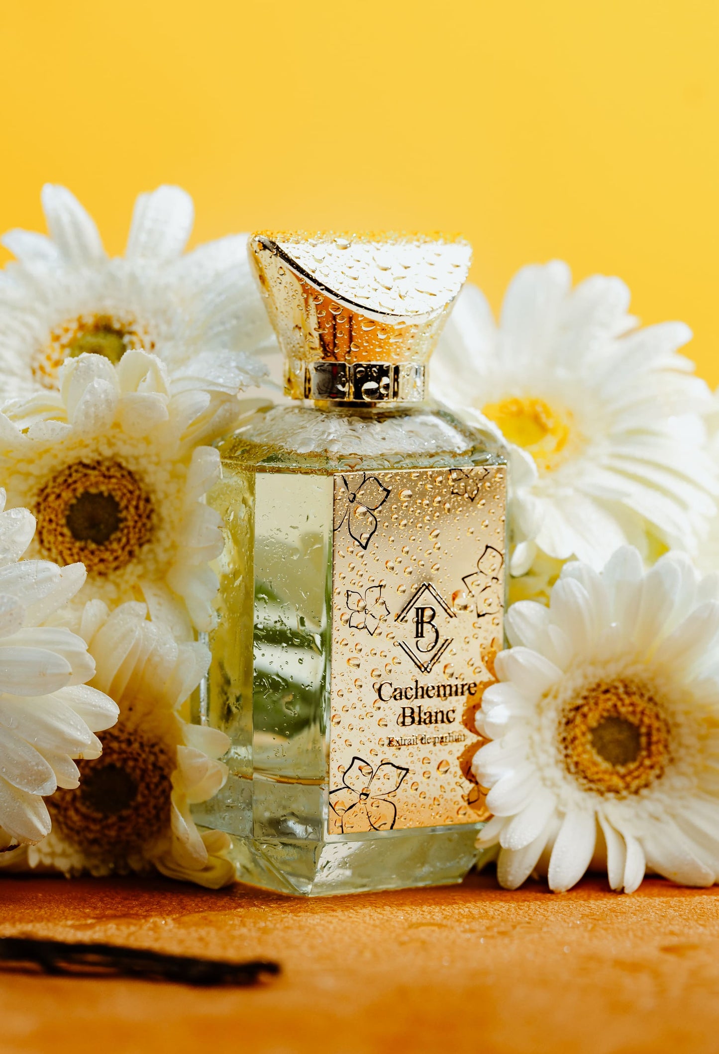 Cachemire Blanc - Maison Fragrancia