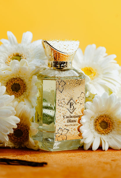 Cachemire Blanc - Maison Fragrancia