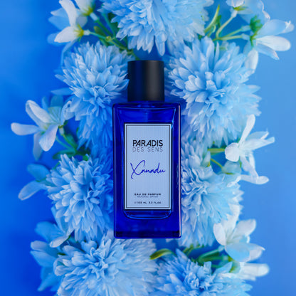 Xanadu - Maison Fragrancia